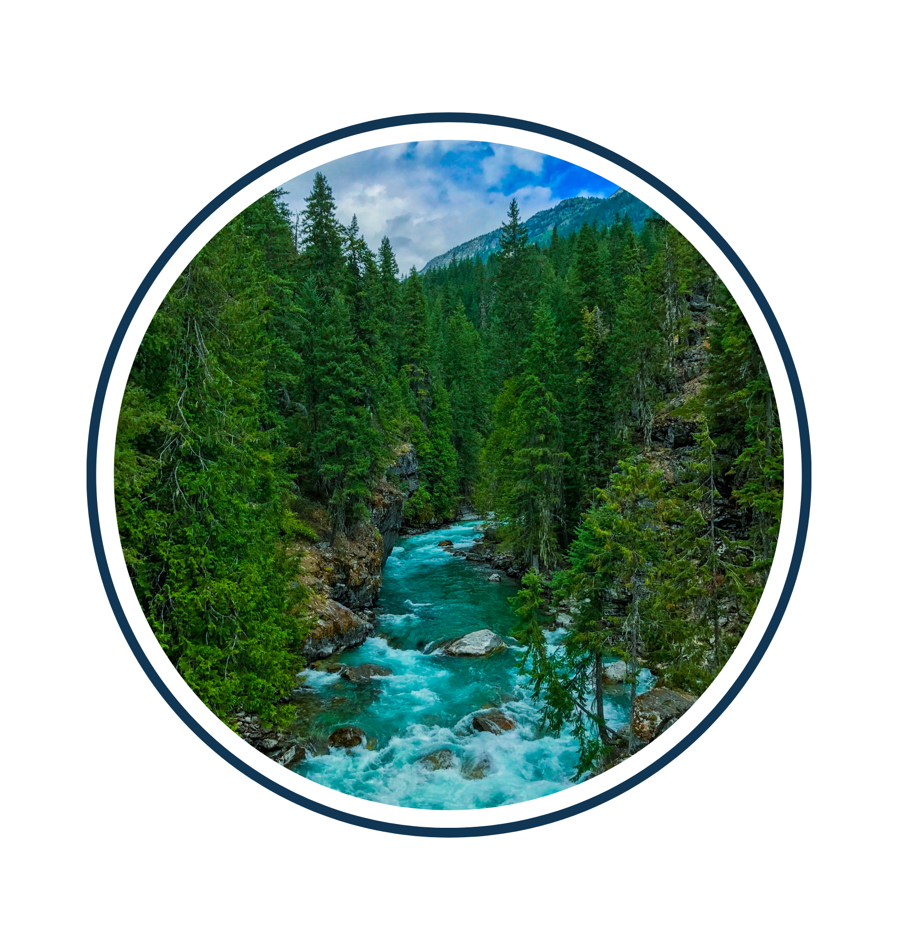 A turquoise river flows through a dense forest of evergreen trees, with mountains visible in the background under a partly cloudy sky. The scene is framed inside a circular border.